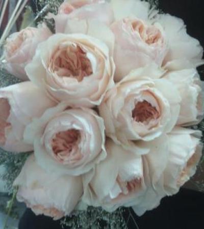 Γάμος, Βάπτιση, Γαμοβάπτιση, βαπτιστικά, Μπομπονιέρες, Προσκλητήρια, Στολισμός Εκκλησιών, Στολισμός Βάπτισης, Στολισμός Γάμου