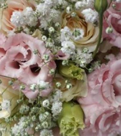 Γάμος, Βάπτιση, Γαμοβάπτιση, βαπτιστικά, Μπομπονιέρες, Προσκλητήρια, Στολισμός Εκκλησιών, Στολισμός Βάπτισης, Στολισμός Γάμου Γάμος, Βάπτιση, Γαμοβάπτιση, βαπτιστικά, Μπομπονιέρες, Προσκλητήρια, Στολισμός Εκκλησιών, Στολισμός Βάπτισης, Στολισμός Γάμου