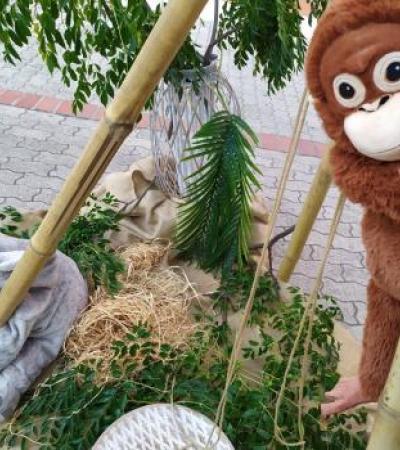 Γάμος, Βάπτιση, Γαμοβάπτιση, βαπτιστικά, Μπομπονιέρες, Προσκλητήρια, Στολισμός Εκκλησιών, Στολισμός Βάπτισης, Στολισμός Γάμου Γάμος, Βάπτιση, Γαμοβάπτιση, βαπτιστικά, Μπομπονιέρες, Προσκλητήρια, Στολισμός Εκκλησιών, Στολισμός Βάπτισης, Στολισμός Γάμου