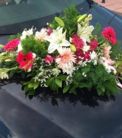 Γάμος, Βάπτιση, Γαμοβάπτιση, βαπτιστικά, Μπομπονιέρες, Προσκλητήρια, Στολισμός Εκκλησιών, Στολισμός Βάπτισης, Στολισμός Γάμου Γάμος, Βάπτιση, Γαμοβάπτιση, βαπτιστικά, Μπομπονιέρες, Προσκλητήρια, Στολισμός Εκκλησιών, Στολισμός Βάπτισης, Στολισμός Γάμου